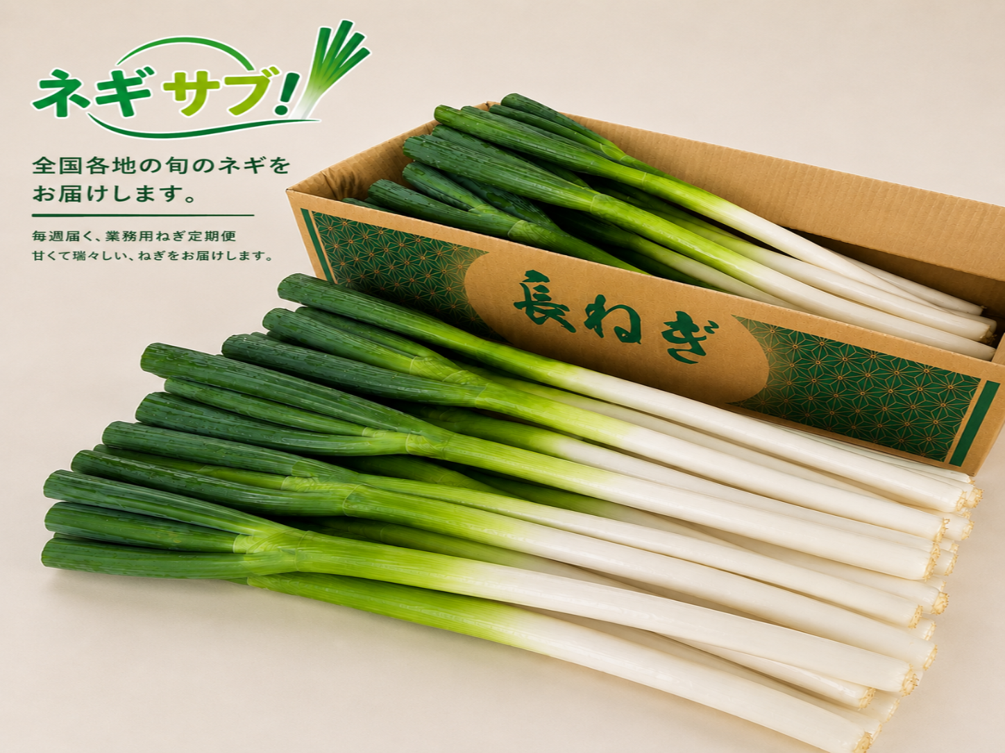 2 x ねぎページ 旬の長ねぎ 2Lサイズ（5kg）｜定期便・単発注文対応 – ネギサブ ネギの